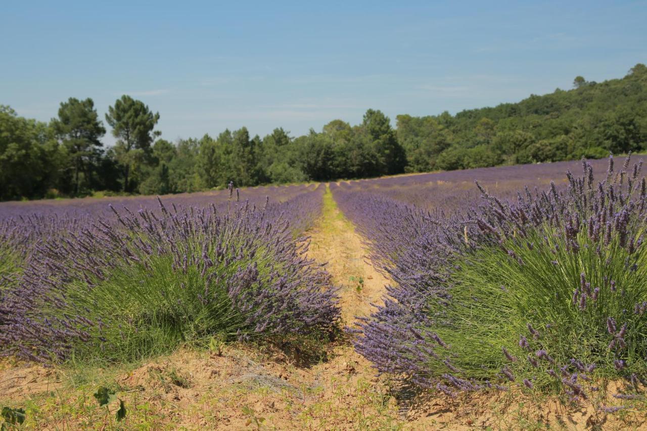 Les Yourtes De Provence Saint-Paulet-de-Caisson Zewnętrze zdjęcie